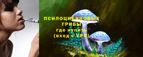 PSILOCYBIN Володарск